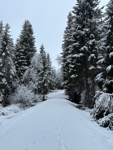 Erholung im Naturpark in 蘇特沙赫