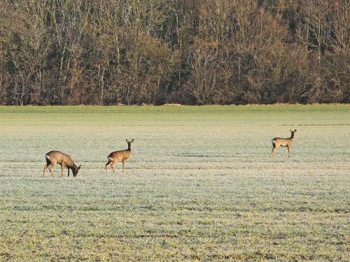 บริการและสิ่งอำนวยความสะดวก, The Cart Shed in เบเวอร์รี่