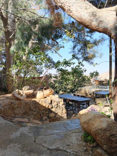 Dana Moon Hotel in Tafila