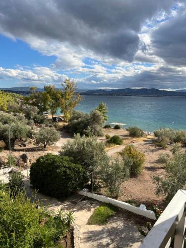 전망, Ble Property Atlas 9 in 오아시스 (로우트라키 페라코라)