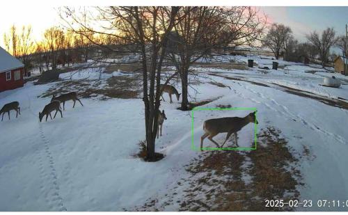 Dirt Road Inn Quiet Country Home in 埃爾姆克里克(NE)