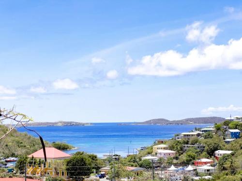 Oceanview Villa Walk to Beach & Cruz Bay in 克魯斯灣