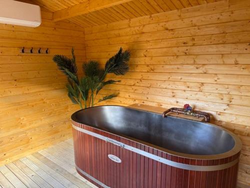 Gyógyfürdő, Kingston TOP 10 Holiday Park in Kingston