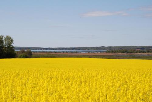 Rørvig Centret - image 2