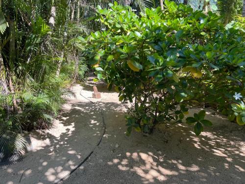 Tauraatini house F4- MOOREA Maatea in Maatea
