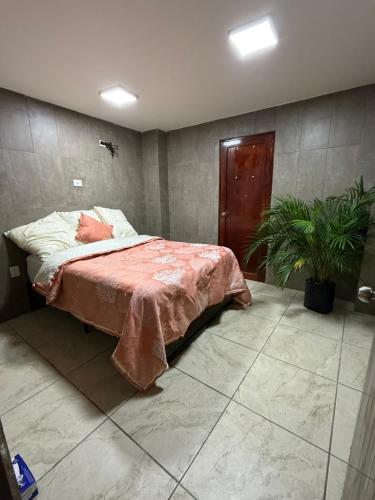 Casa Areka – khách sạn tại Faros