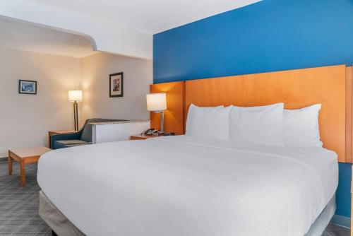 Comfort Suites Auburn Hills - image 10