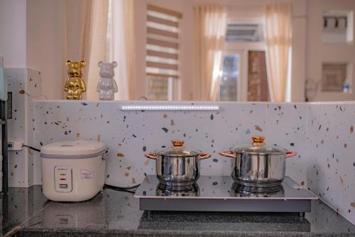 BB House Villa in Langbiang Mountain