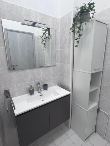 浴室, A due passi dal Centro Intero appartamento con AC e WiFi in 弗利市中心
