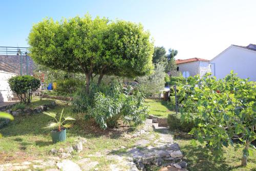 Apartments with parking space Splitska Brac - 17023 - image 2