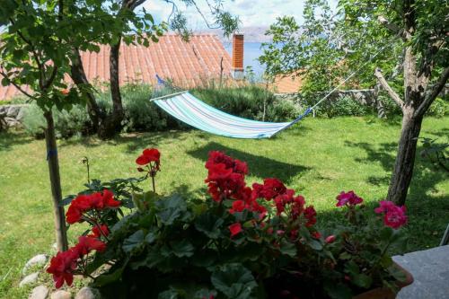 Apartments with parking space Senj - 15376 - image 2
