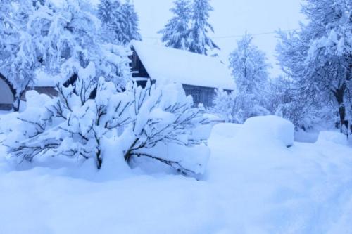 Apartments with parking space Plaski, Velebit - 21935 in Plaski