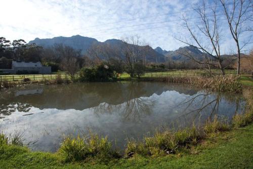 Viettz Suite, Cape Winelands