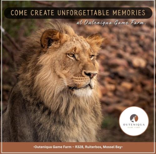 Valley view cottage in Ruiterbos