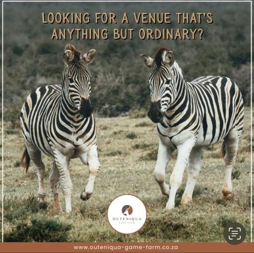 Valley view cottage in Ruiterbos