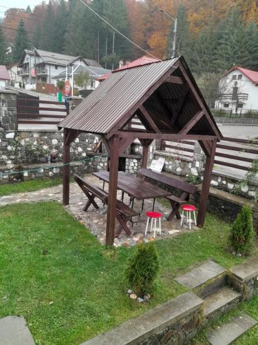 Vila Kira Buşteni (Vila Kira Busteni) in 布什泰尼