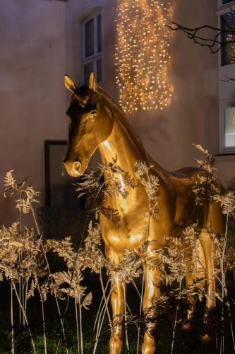 Hotel Les Haras - Hôtel - Strasbourg