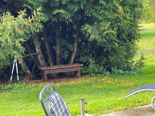 Gut Settin am See - Ferienhäuser - image 7
