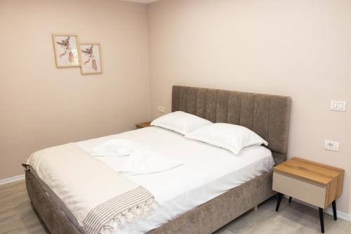 Luxury City Center Apartment - Free Parking, Tirana (foto 11)