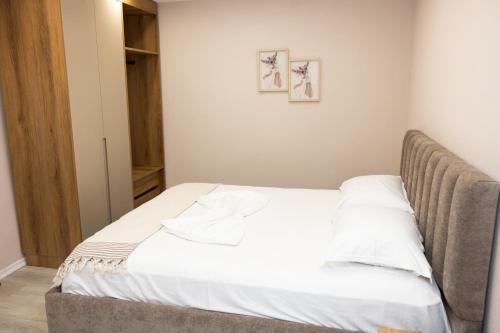 Luxury City Center Apartment - Free Parking, Tirana (foto 10)