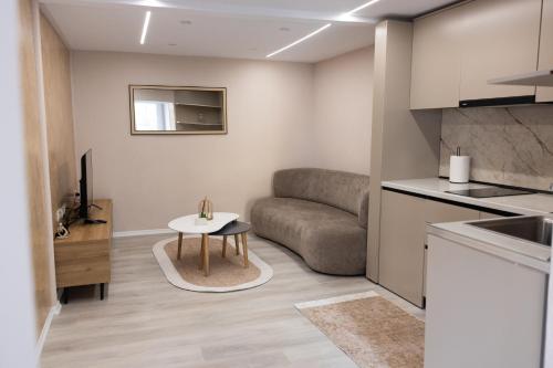 Luxury City Center Apartment - Free Parking, Tirana (foto 5)