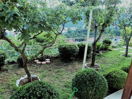 Studio Rabac 12368a - image 9