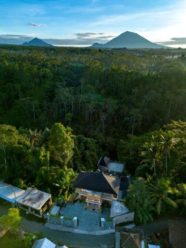 Ellena Resort Tegallalang by Dhananjaya Hospitality, Tampaksiring