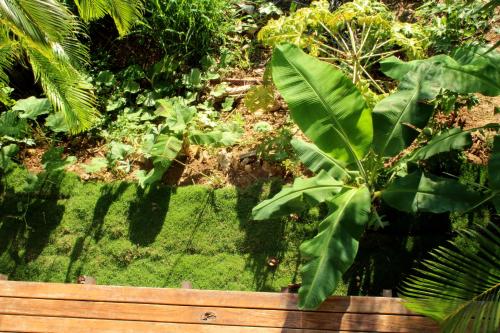 Casba Hostel in Las Terrenas