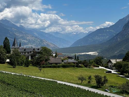 Apkārtne, Vineyard in Venthone