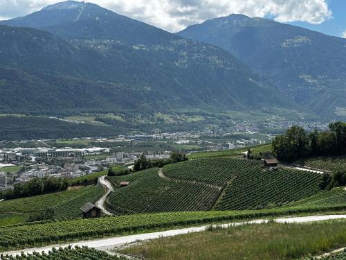 Apkārtne, Vineyard in Venthone
