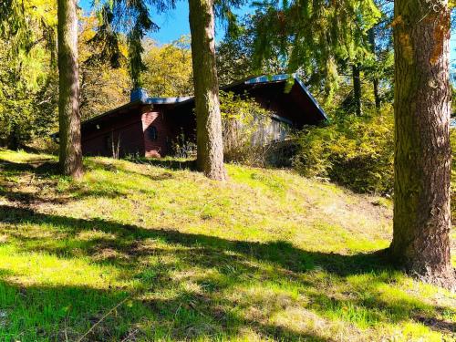 Waldhütte mit Weitblick (Waldhutte mit Weitblick) in Kirn