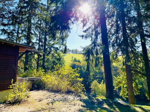 Waldhütte mit Weitblick (Waldhutte mit Weitblick) in Kirn
