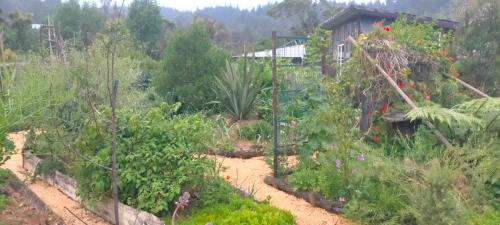 Skats, Sixty Six in Victoria Valley