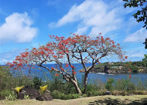 Baywatch in Grenville