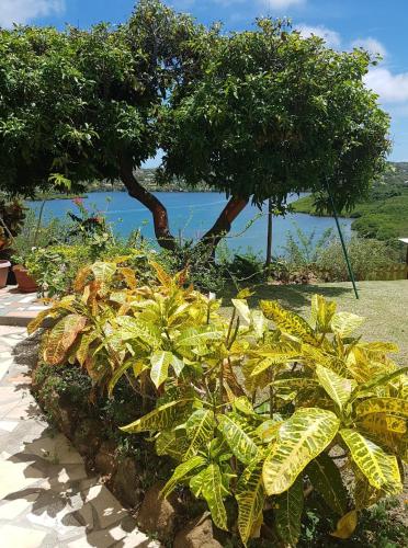 Baywatch in Grenville