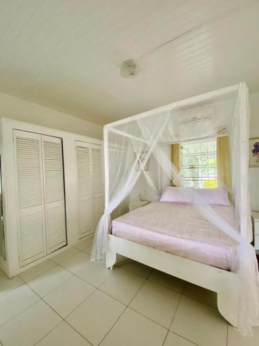 Baywatch in Grenville