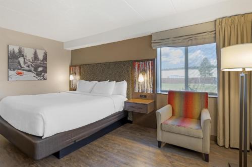 1 king bed