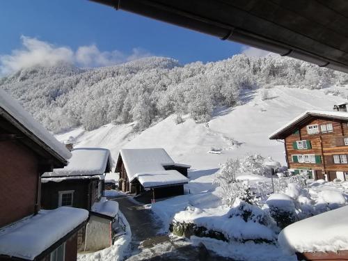 Skats, Mattishüüsli - Chalet with a little garden (Mattishuusli - Chalet with a little garden) in Rüti (Glarus)