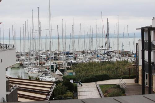 周辺案内, Lavén Superior Apartment (Laven Superior Apartment) in バラトンフレッド