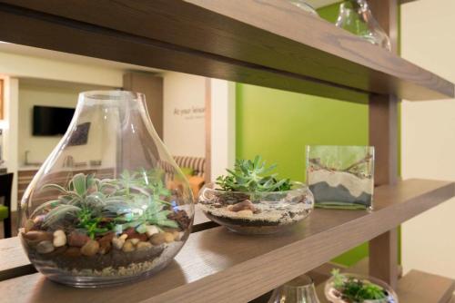 EVEN Hotel Rockville an IHG Hotel - image 8