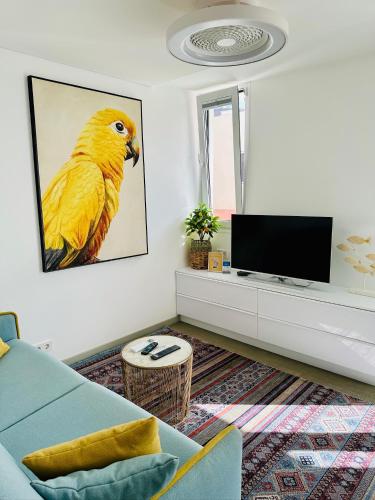 AMBER APARTMENTS - SUNNY STUDIO - maxorata