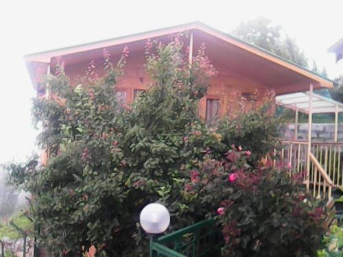 Snow King Retreat & Revolving Restaurant ,Cottages, Huts, Villas - Fagu Hill Top Kufri Shimla