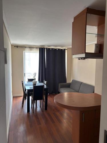 cozy apartment in downtown Santiago