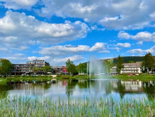A környék, Ferienwohnung Harzurlaub II in Hahnenklee-Bockswiese