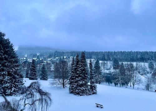 A környék, Ferienwohnung Harzurlaub II in Hahnenklee-Bockswiese