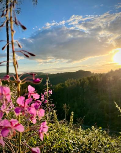 A környék, Ferienwohnung Harzurlaub II in Hahnenklee-Bockswiese