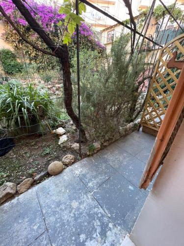 View, Chez Marlene bis, Vieil Antibes, Port Vauban in Other