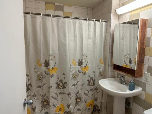 Cozy Open Space in Montreal