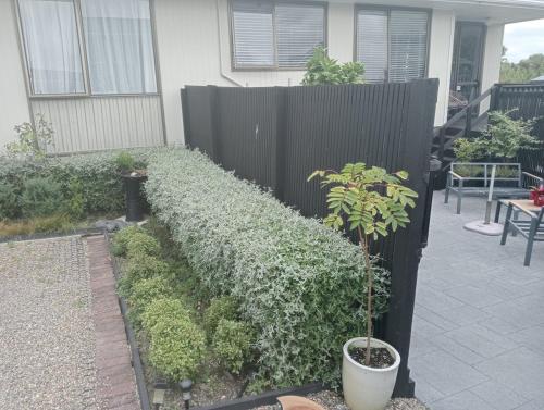 Modern, Light & Warm Central Warkworth in 沃克沃斯