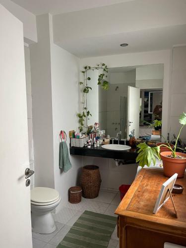 Beautiful apartment in Palermo